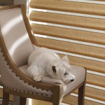 pet safe window coverings